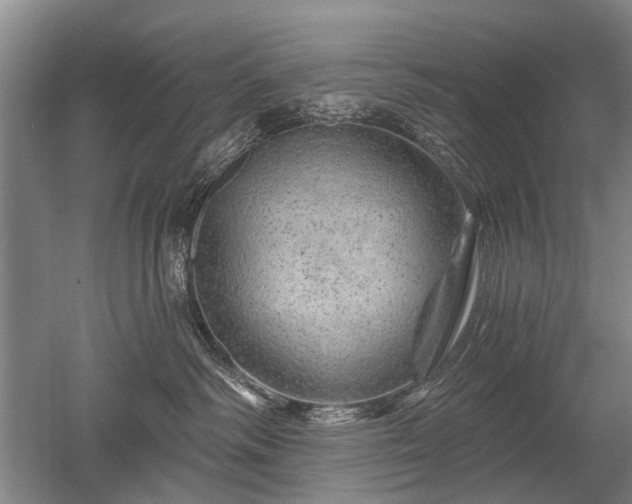 X0000052640334200507082012