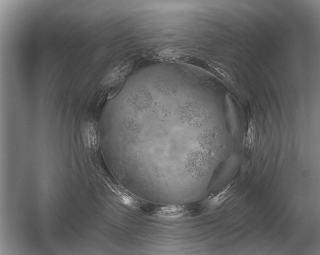 X0000052640335200507082012