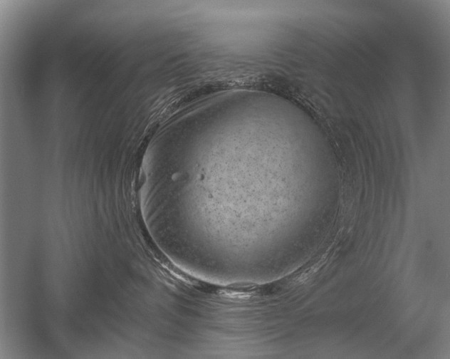 X0000052640336200507082012