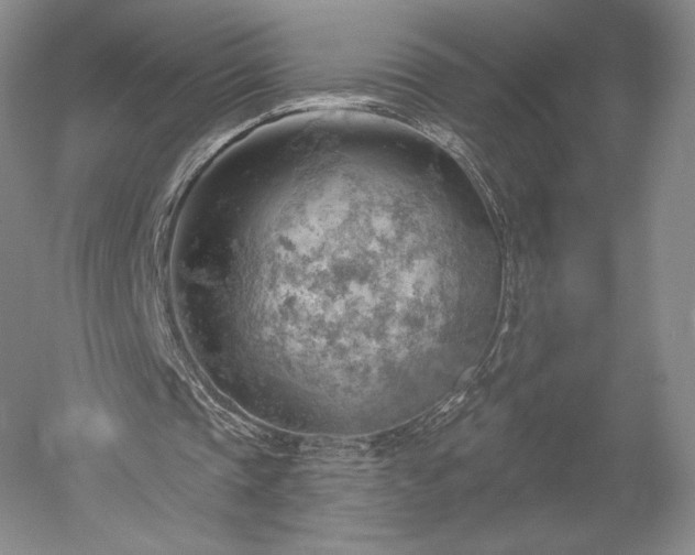 X0000052640337200507082011