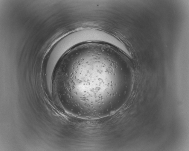 X0000052640338200507082011