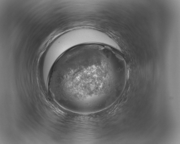 X0000052640339200507082011