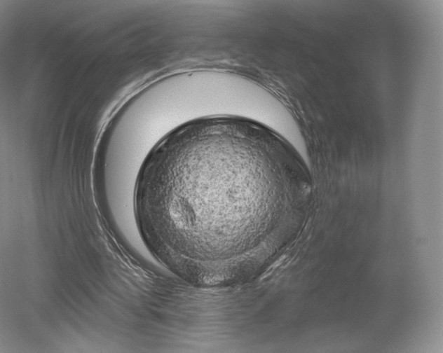 X0000052640340200507082011