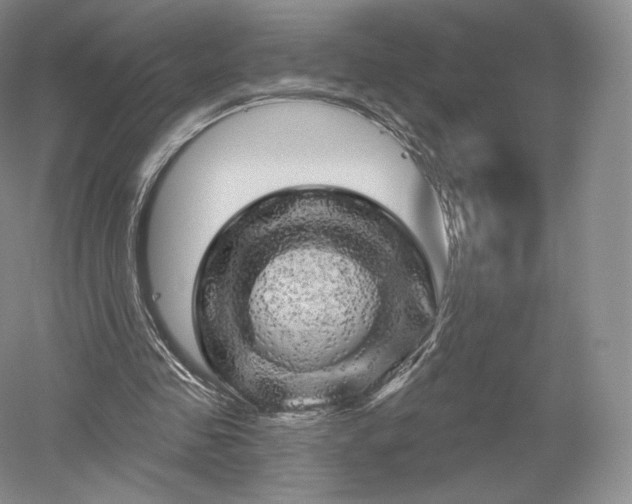 X0000052640341200507082011