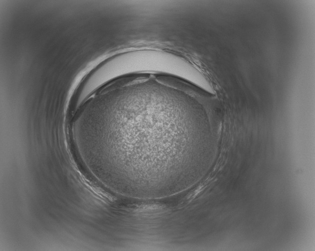 X0000052640342200507082011