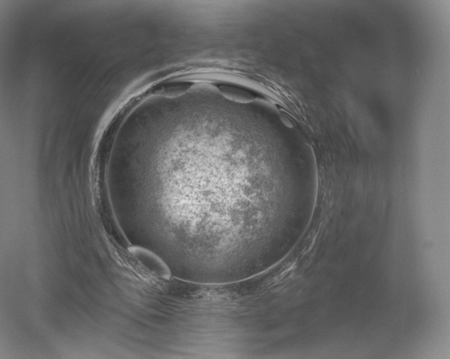 X0000052640343200507082011