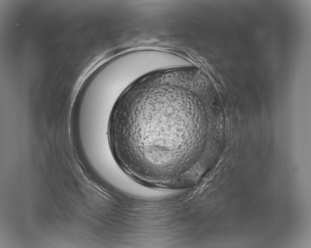 X0000052640344200507082011