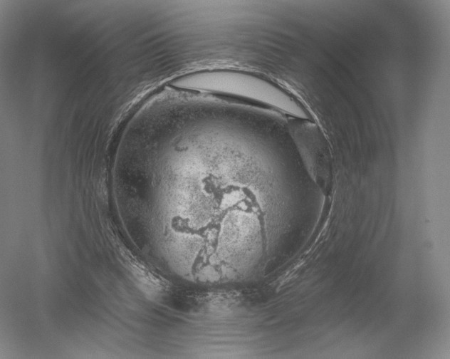 X0000052640345200507082011