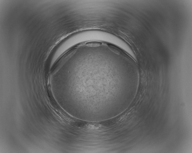 X0000052640346200507082011