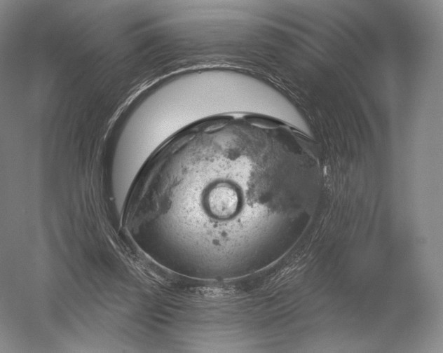 X0000052640347200507082011