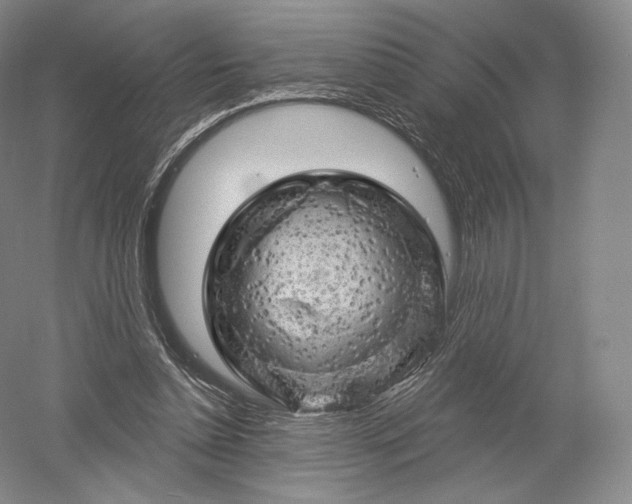 X0000052640348200507082011