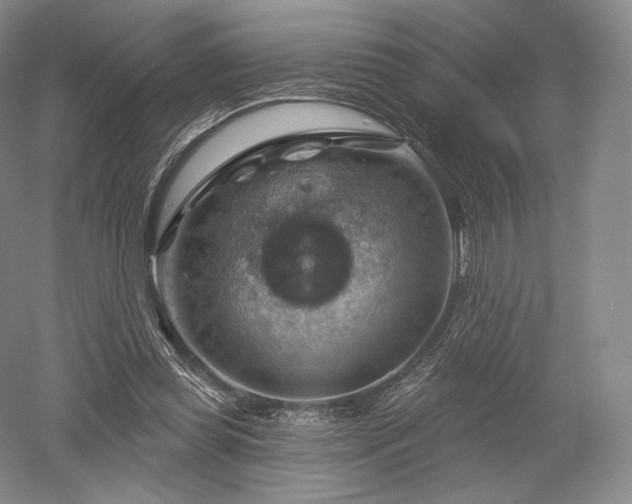 X0000052640349200507082011