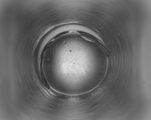 X0000052640350200507082011