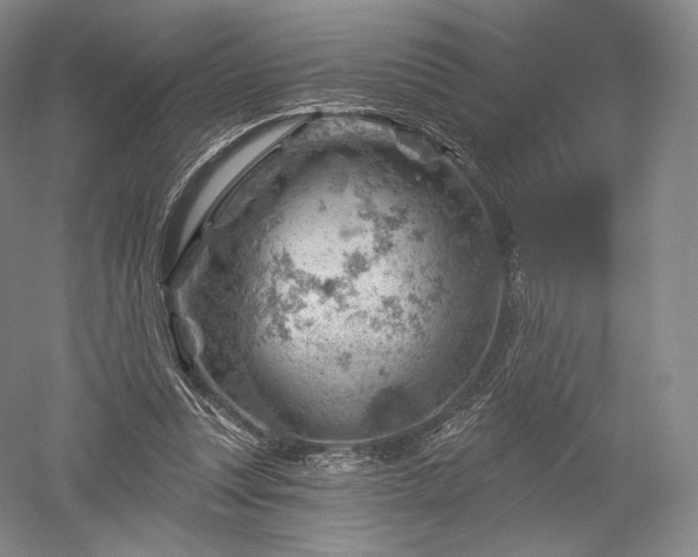 X0000052640351200507082011