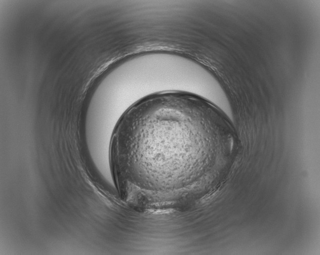 X0000052640352200507082011