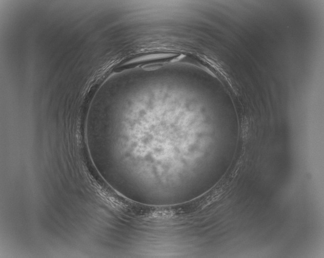 X0000052640353200507082011