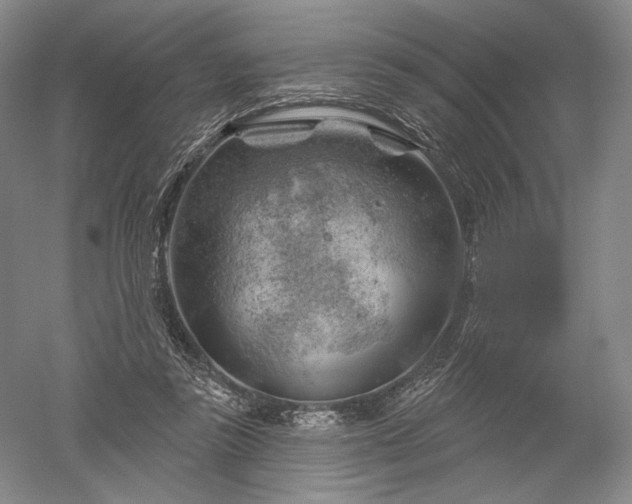 X0000052640355200507082011