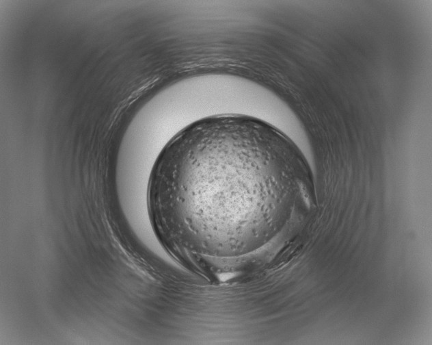 X0000052640356200507082011
