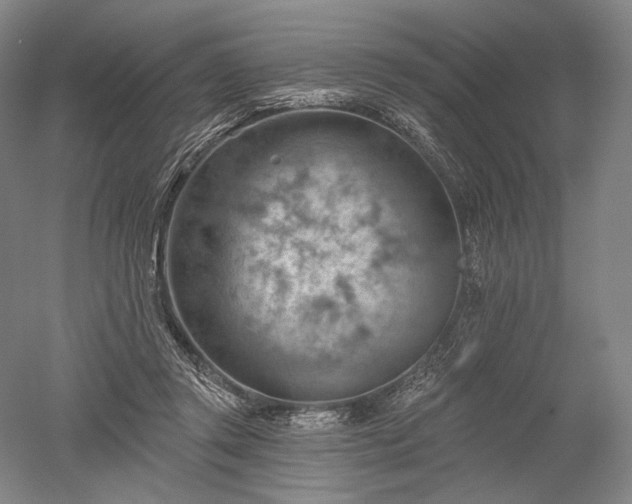 X0000052640357200507082011