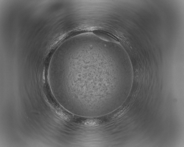 X0000052640358200507082011