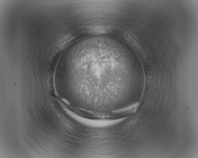 X0000052640359200507082011