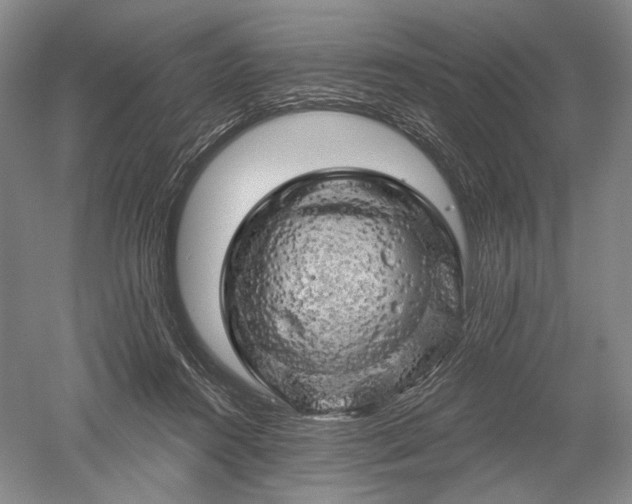 X0000052640360200507082011
