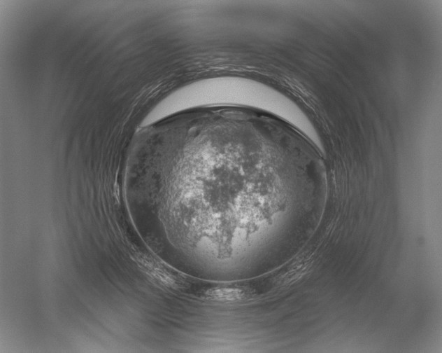 X0000052640361200507082011