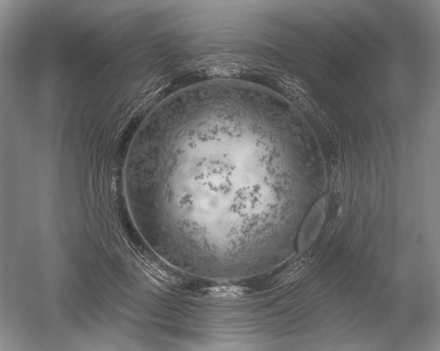 X0000052640363200507082011