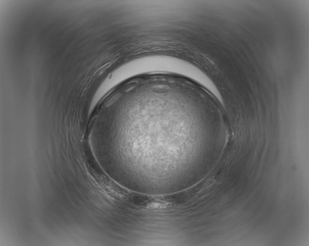 X0000052640364200507082011