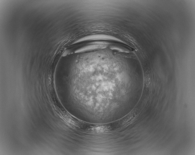 X0000052640365200507082011