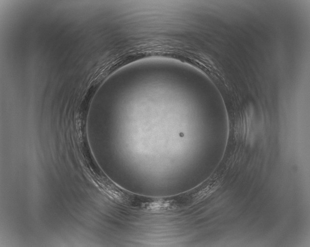 X0000052640366200507082011