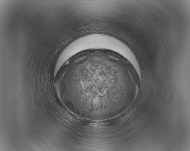 X0000052640367200507082012