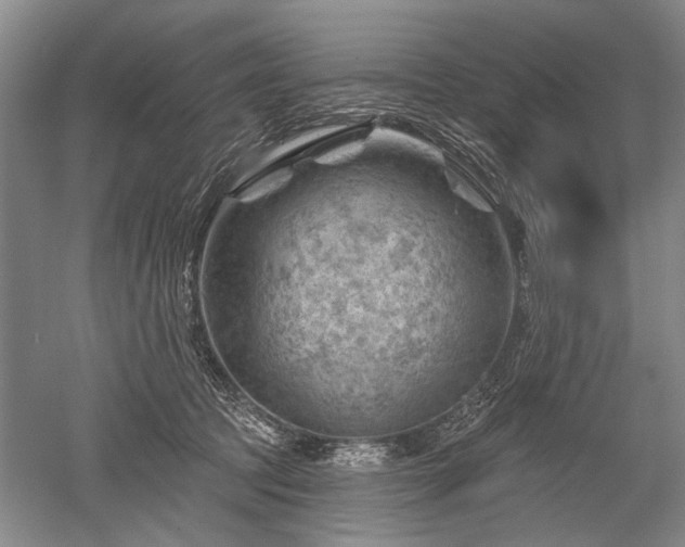 X0000052640369200507082012