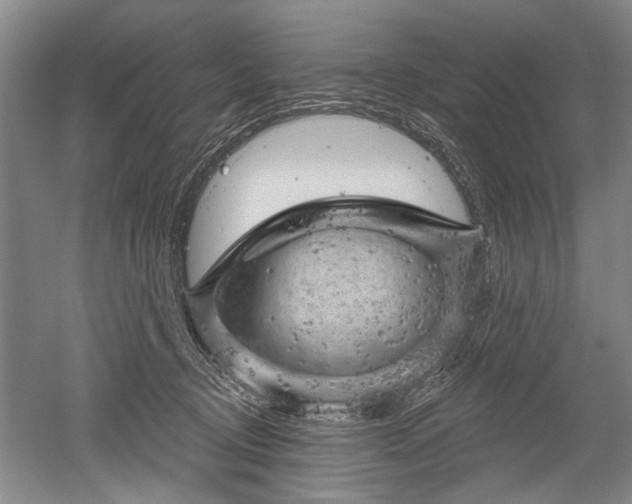 X0000052640370200507082012