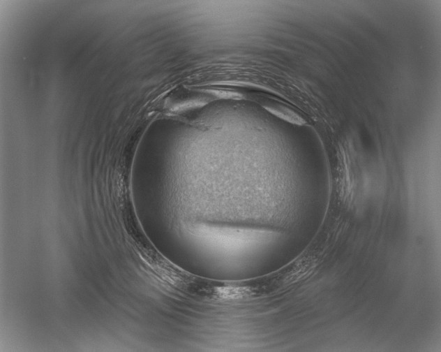 X0000052640371200507082012