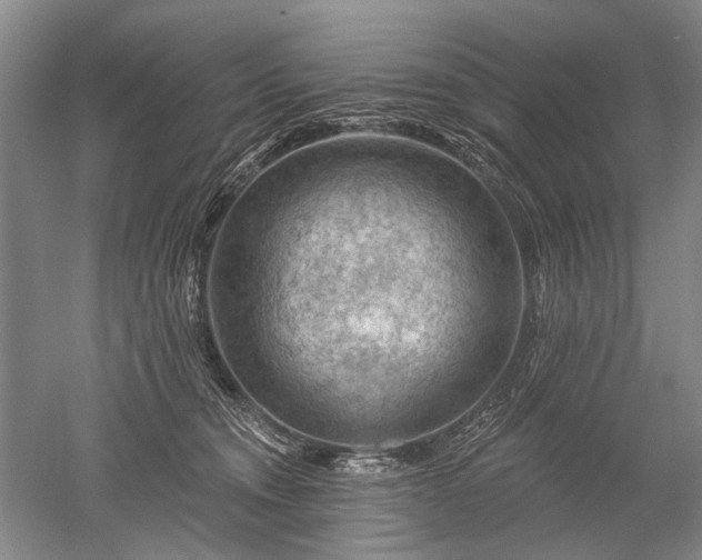 X0000052640372200507082012