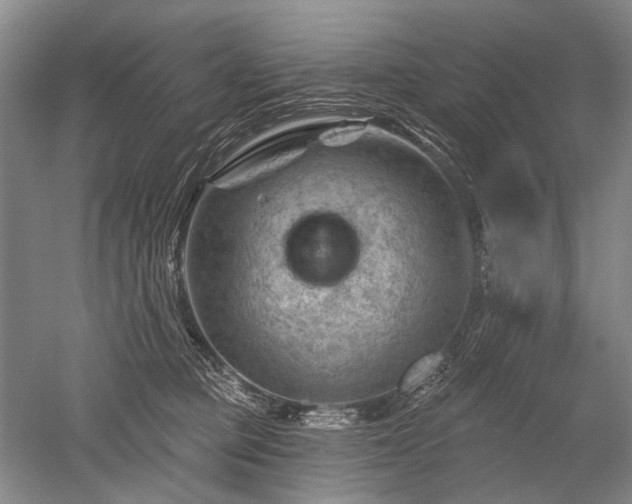 X0000052640373200507082012