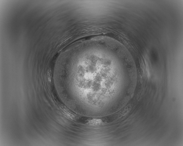 X0000052640374200507082012