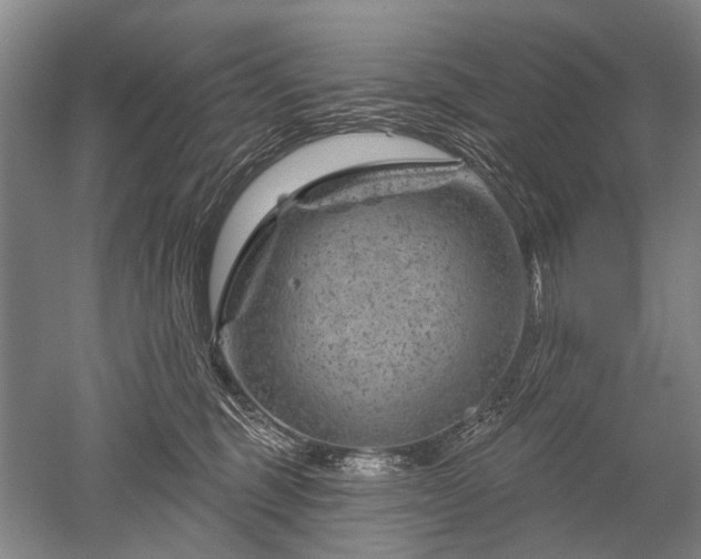 X0000052640375200507082012