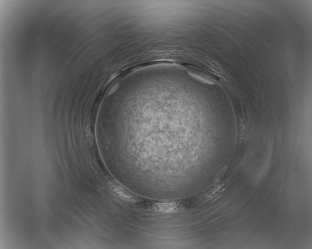 X0000052640377200507082012