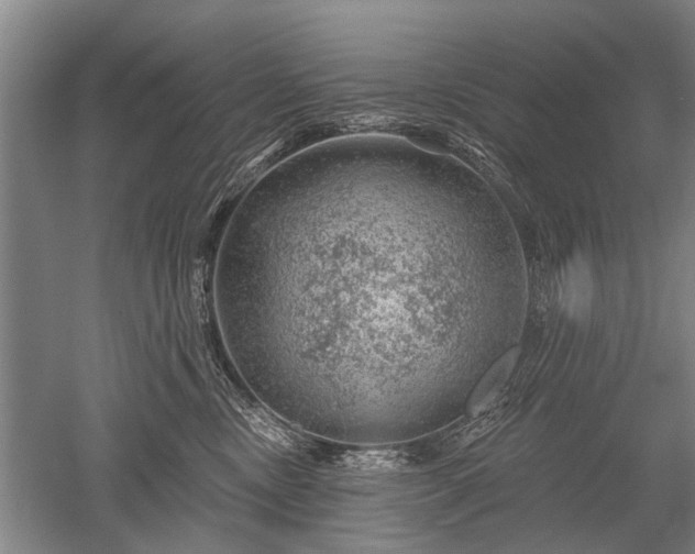 X0000052640378200507082012