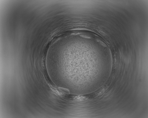 X0000052640379200507082012