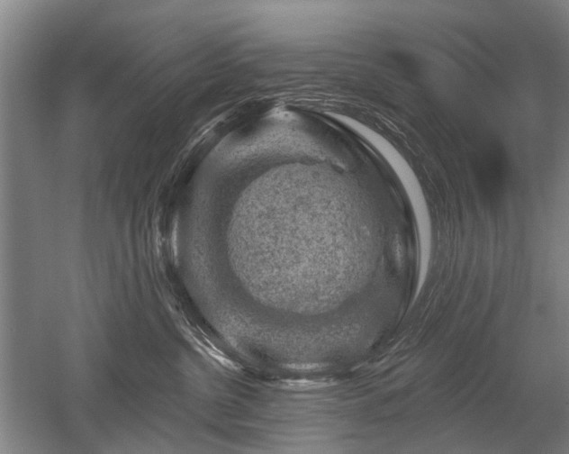 X0000052640380200507082012