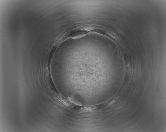 X0000052640381200507082012