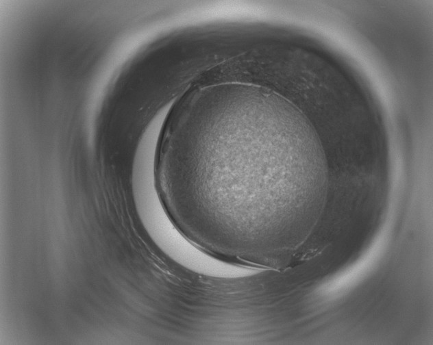 X0000052640382200507082012