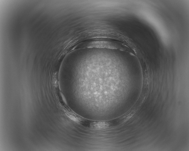 X0000052640383200507082012