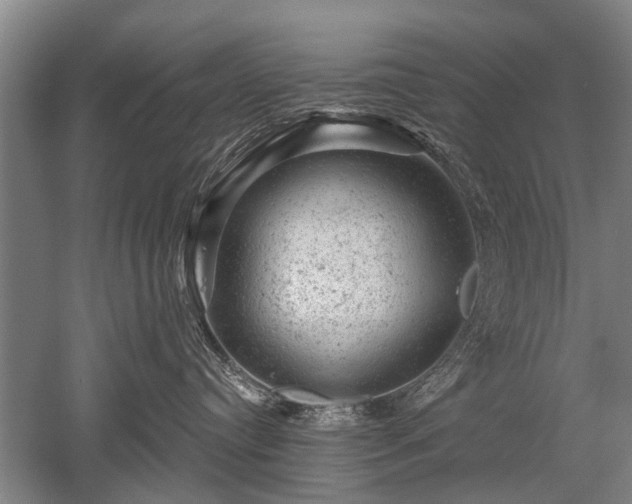 X0000052640384200507082012