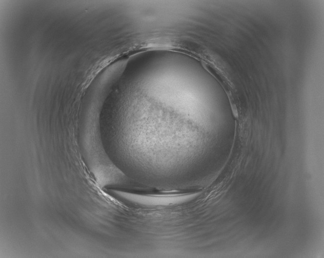 X0000052640385200507082011