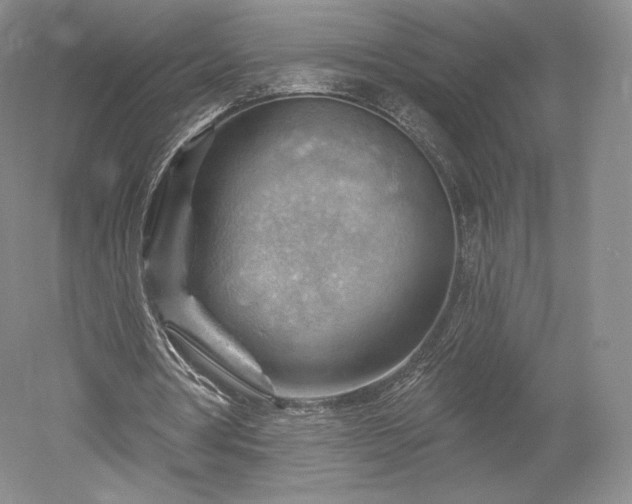 X0000052640386200507082011