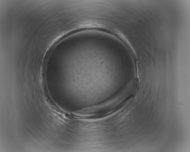 X0000052640387200507082011